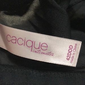 Cacique Intimates & Sleepwear - Cacique bra 42DDD Cacique Intimates & Sleepwear - Cacique bra 42DDD